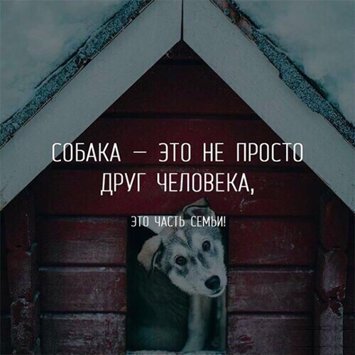 - 19  2018  16:44