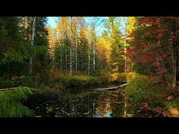  "",  ....  . ,   -  -,  "  ".    .    ?....