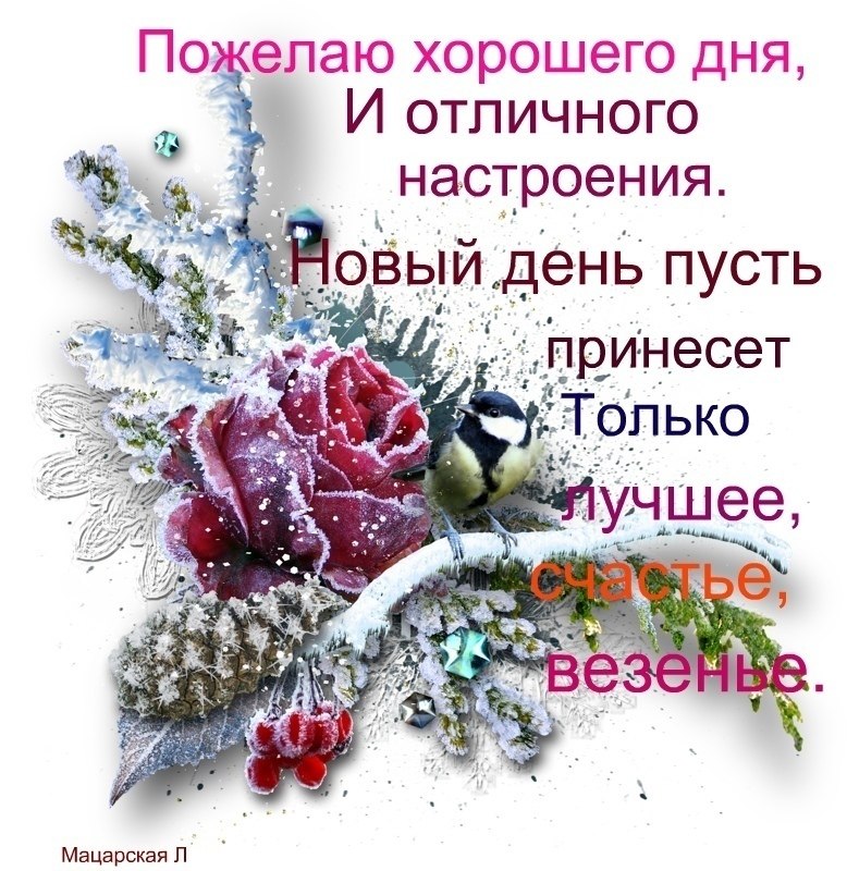   ,    . - 12  2019  23:08
