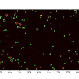 ���� Pen, ���������, 57 ��� - ��������� 1 ������� 2019