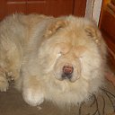 ������ ���������� ���� (���) - 10.10. 2008 - 11. 08 2018 �.�...... �� ������� ����