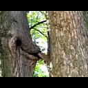  ••,  -  13  2018   - ))