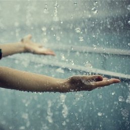 ������, ���������