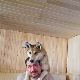 �������, ��������, 47 ���