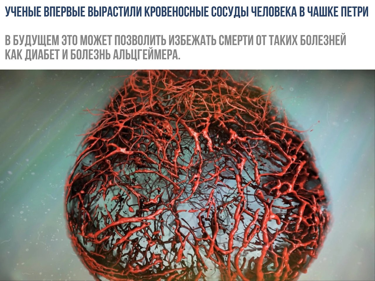    - 18  2019  16:53