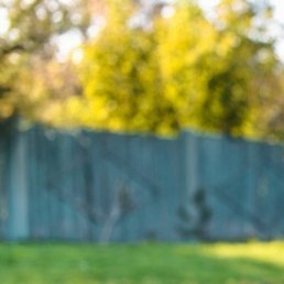 ���������, �����, 43 ����