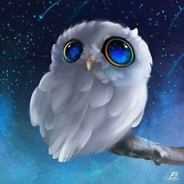 Aleksandr, ����������, 44 ����