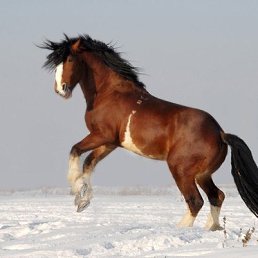���� Sergey, ������ ��������, 44 ���� - ��������� 30 ������ 2019