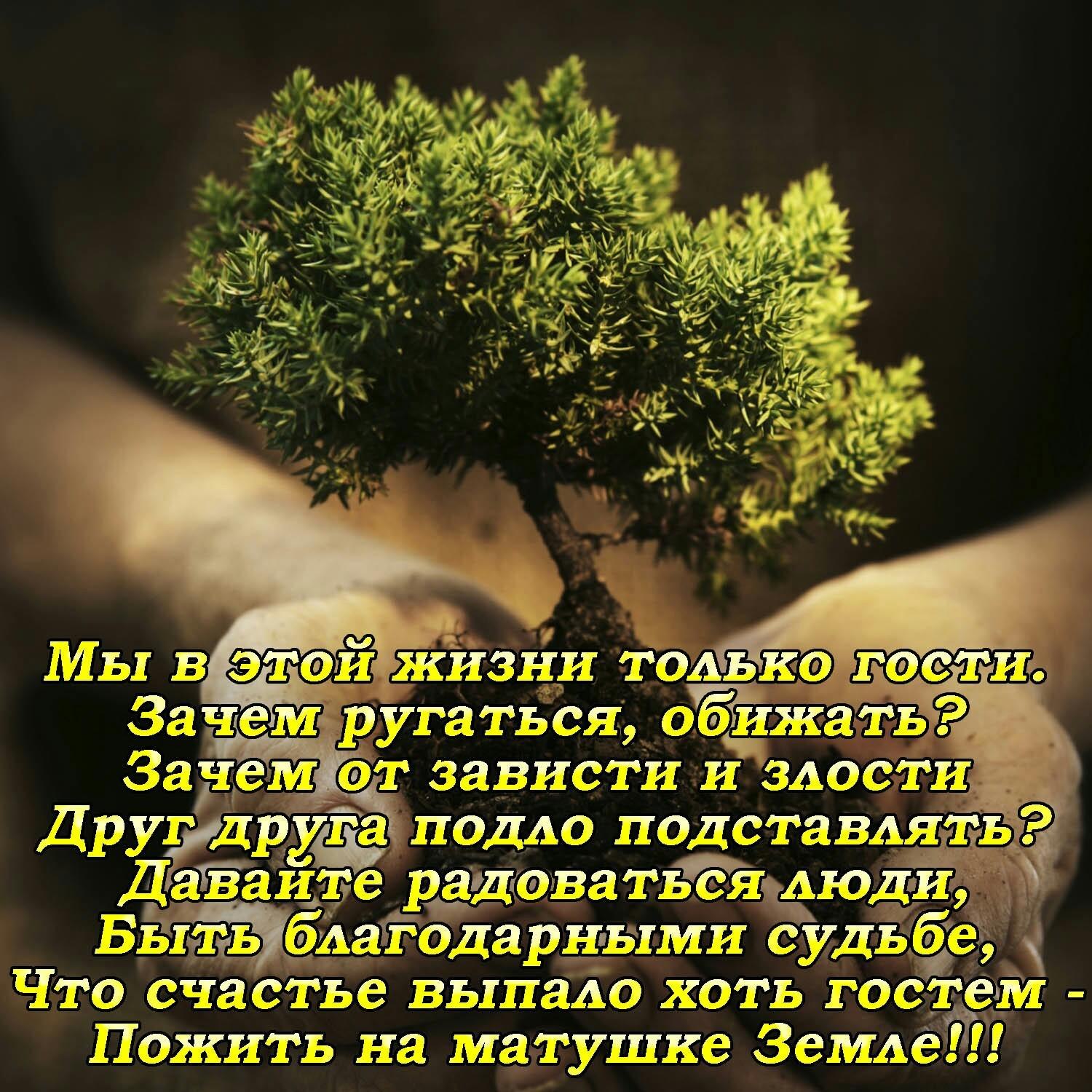  - 11  2018  20:46