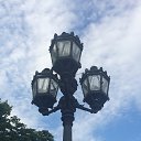  , -, 55  -  29  2018     