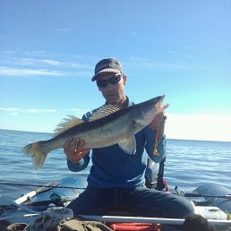 ���������, �������