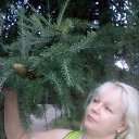 ���� ������, ��������� - ��������� 10 ������� 2018 � ������ ���� ����������