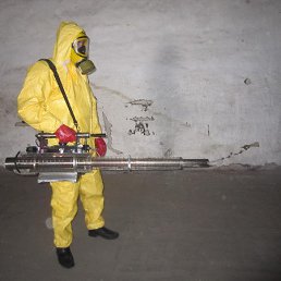 ������, ������, 51 ���