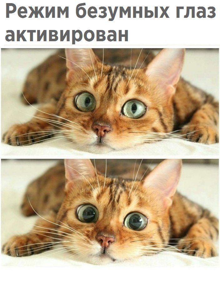  - 6  2018  16:54