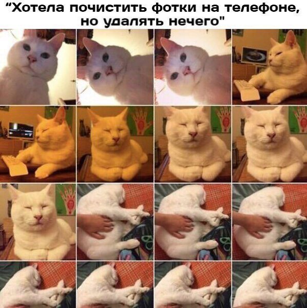    - 10  2018  16:19