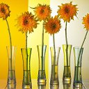  Viktor, , 69  -  9  2018    