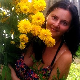 �����, ��������, 52 ����