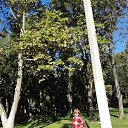 ���� ������, ���������, 69 ��� - ��������� 6 ������� 2018 � ������ ���������� ������