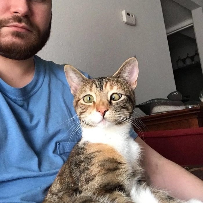 #@catism.   ,   ,     ,  ... - 5