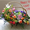 ���� ��������, ������, 61 ��� - ��������� 24 ������� 2018 � ������ ���� ����������