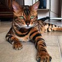 ���� N@taly, �������� - ��������� 9 ������� 2018 � ������ ���� ����������
