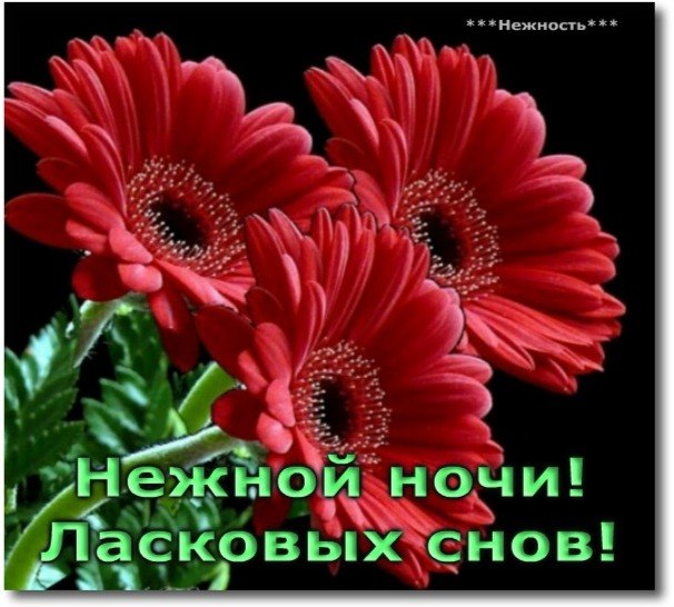   ,    . - 5  2019  21:22