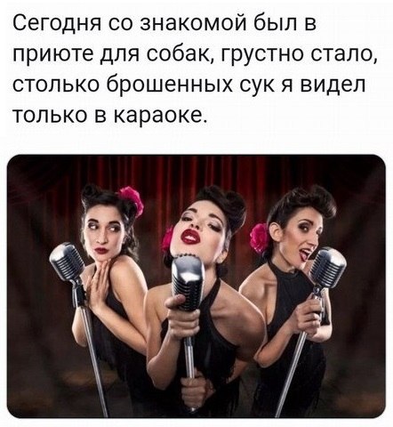  - 22  2019  03:48