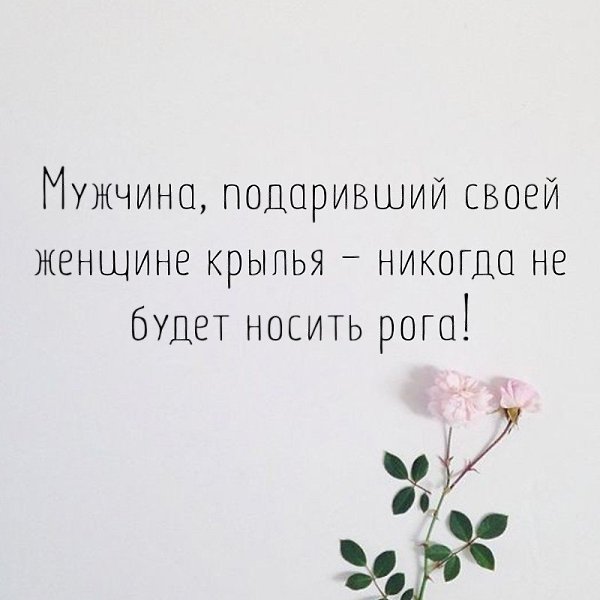   - 13  2018  16:46