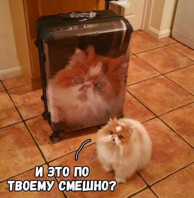    :D - 23  2018  16:44