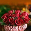 ���� ������, �����-��������� - ��������� 15 ������� 2018 � ������ ������ ��������