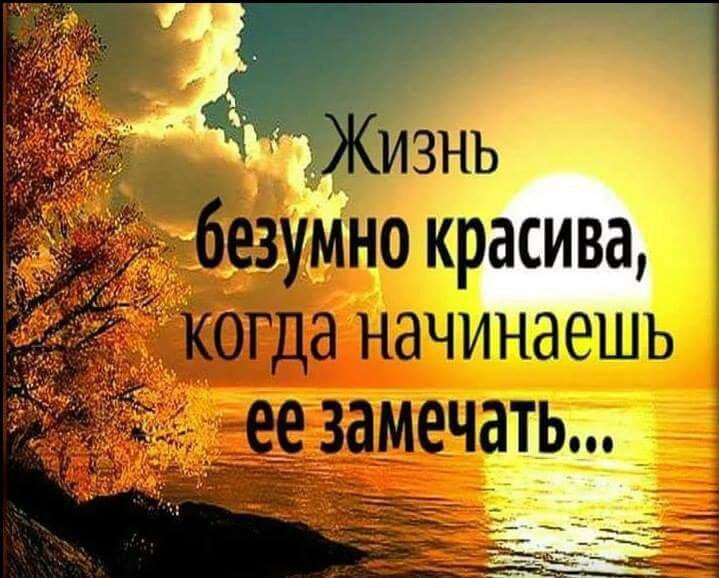   ,    . - 12  2018  19:32