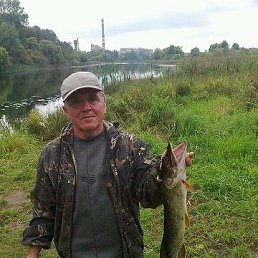 ��������, �������, 74 ����