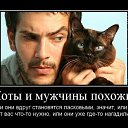 ���� L, ���� - ��������� 10 ������ 2019 � ������ ������ ��������