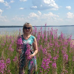 ���������, �������������