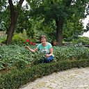  , , 66  -  4  2018    11  2018 