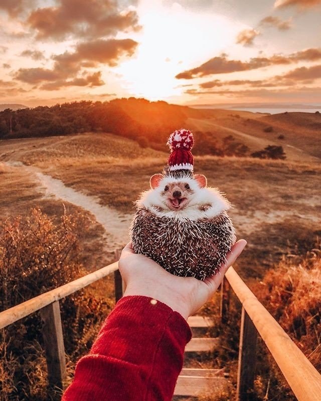  ! - 5