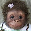 ���� �������, ������ - ��������� 19 ������� 2018