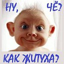 ���� ����, ������, 36 ��� - ��������� 15 ����� 2019 � ������ ������ ��������