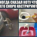 ���� ������, �����-��������� - ��������� 18 �������� 2018