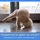 ���� �������, ����������, 43 ���� - ��������� 6 ������� 2019 � ������ ���� ����������