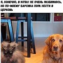 ���� Harley.rip, ���������, 38 ��� - ��������� 11 ������� 2018 � ������ ������ ��������