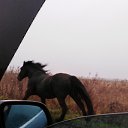 ���� �����, �����������, 58 ��� - ��������� 1 ������� 2019 � ������ ���� ����������