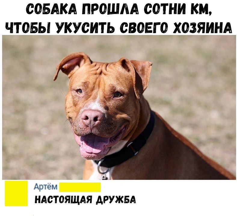    :D - 21  2018  17:12