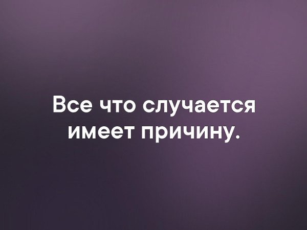 . - 14  2019  16:50