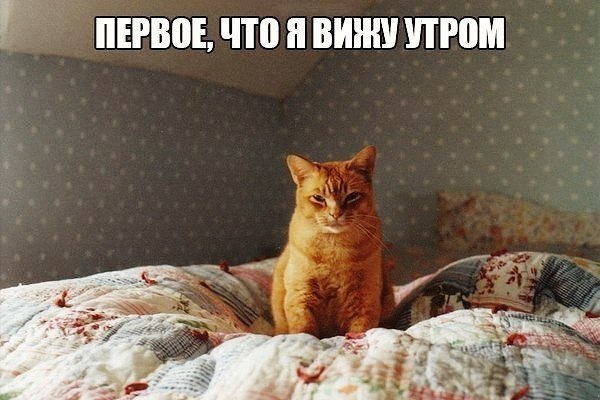    - 25  2018  16:33