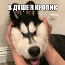 ���� ���������, ���������, 48 ��� - ��������� 24 ���� 2018 � ������ ������ ��������