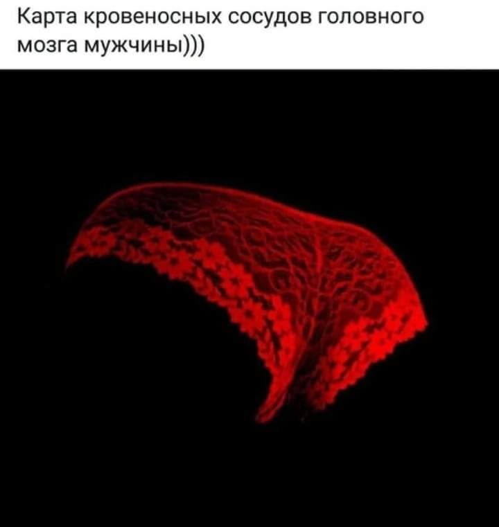  - 14  2019  21:38