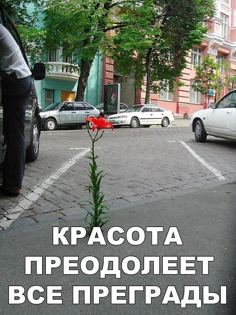    :D - 2  2019  16:55