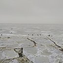  , -, 47  -  23  2019    