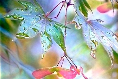 #украшение@fan_handmade.Браслет-слейв
